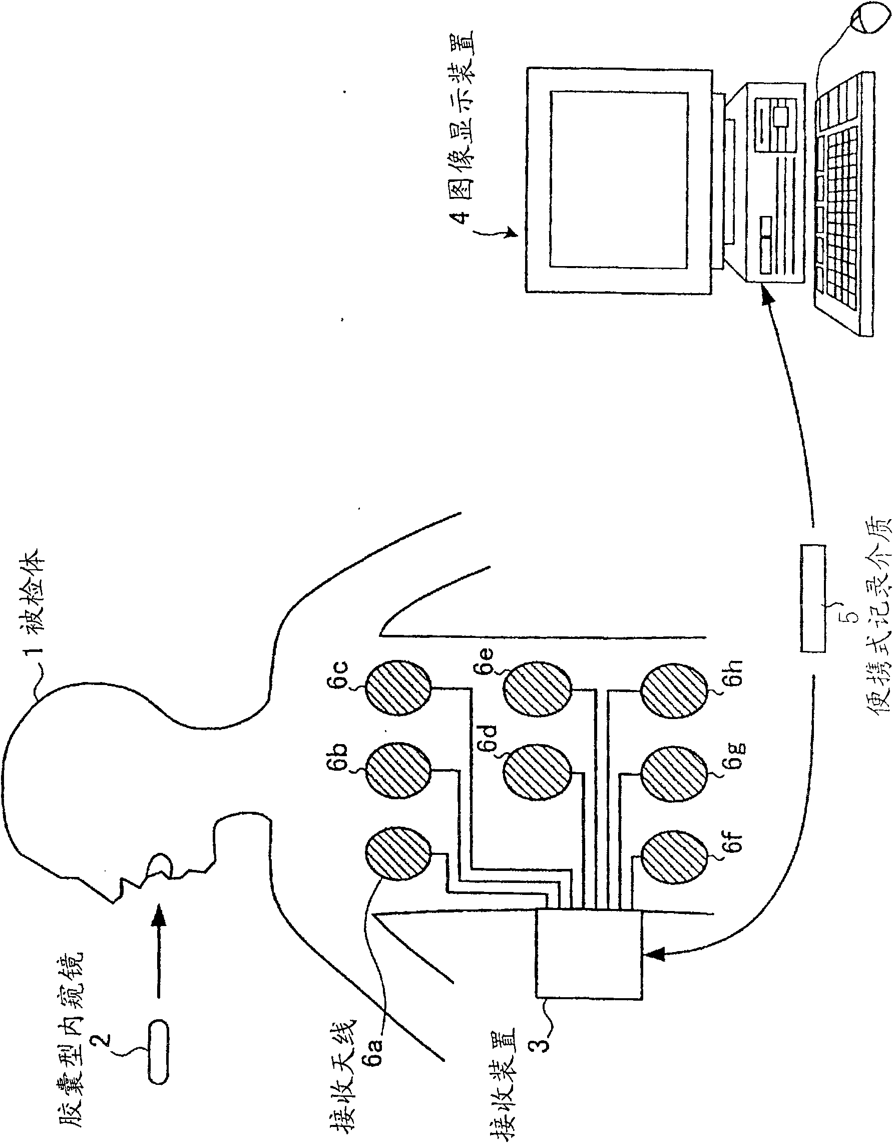 Image display device, image display method and image display program