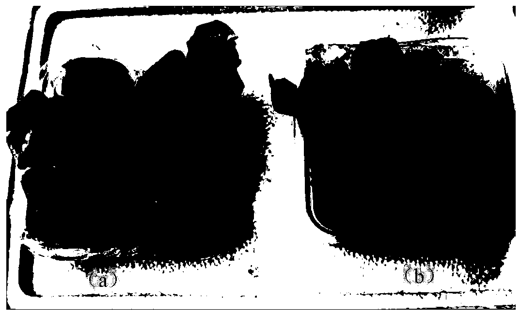 Composite fresh-keeping nutritional agent for fruits and vegetables and preparation method thereof