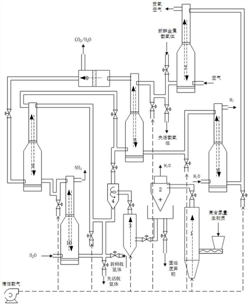 Chemical chain reaction system and method driven by high-nitrogen-content biomass