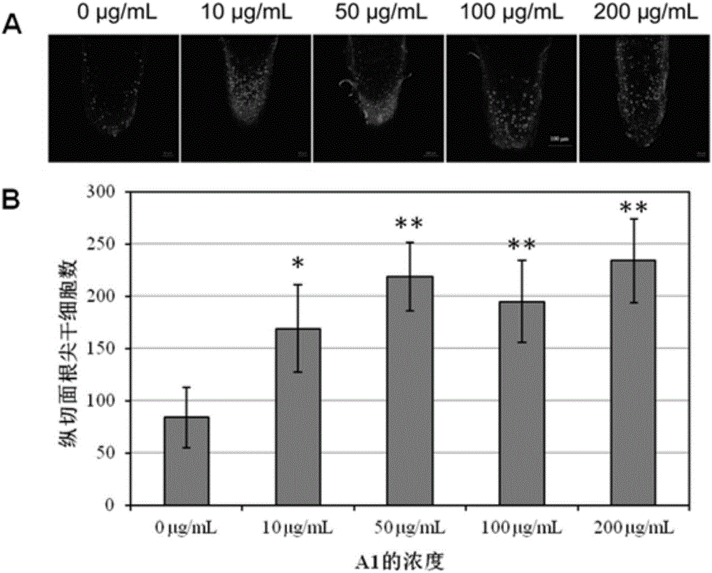 Ginsenoside mixtures and application of mixtures serving as plant growth regulators