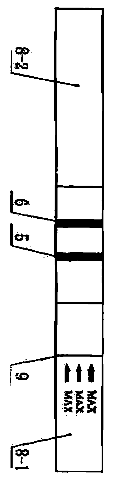 Famphur colloidal gold rapid test strip and preparation method thereof