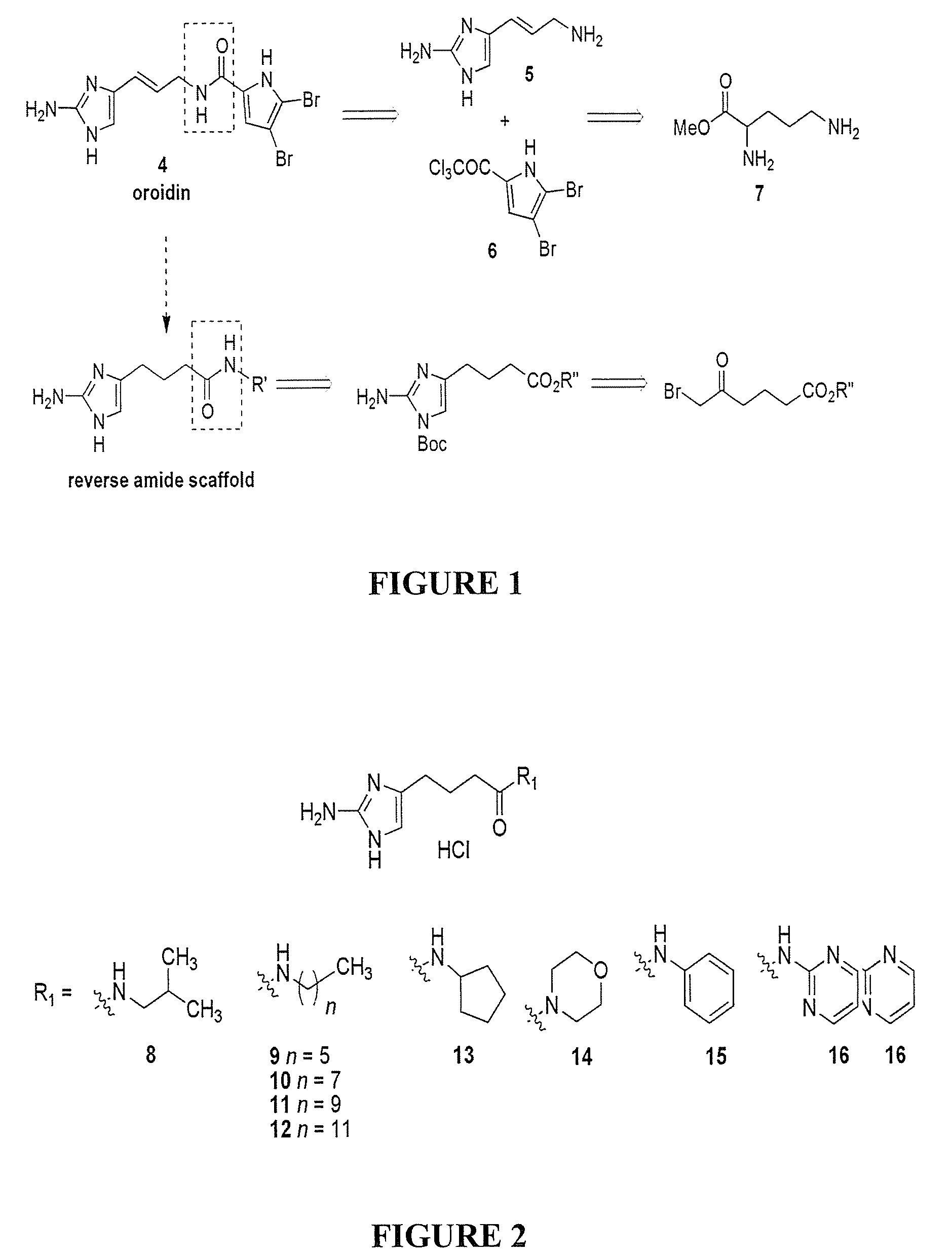 Inhibition of biofilms in plants with imidazole derivatives