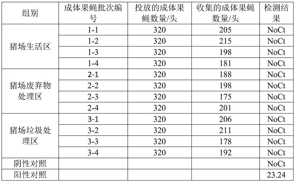 Method for detecting whether pig farm flies and their living environment carry African swine fever virus