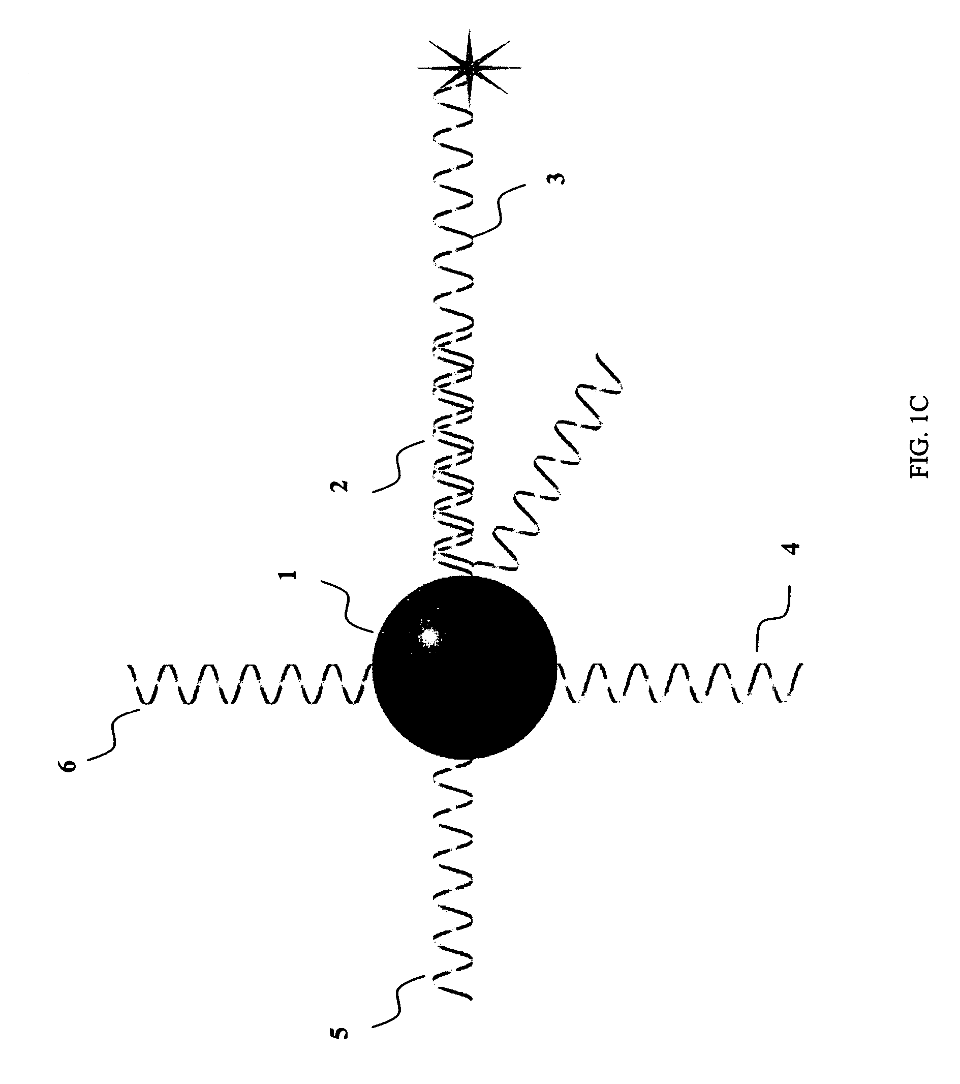 System and method for inhibiting the decryption of a nucleic acid probe sequence used for the detection of a specific nucleic acid