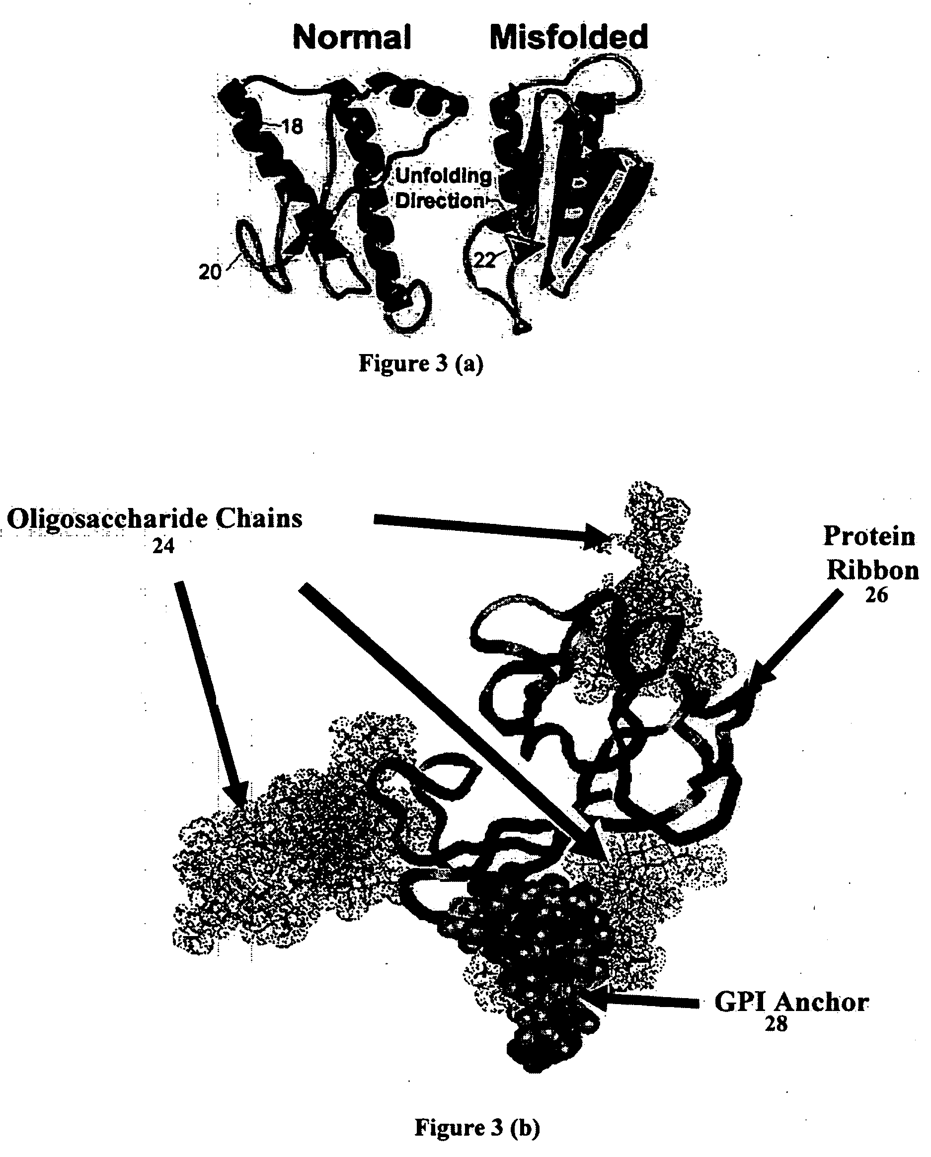 Nanobioprocessor for protein and cell therapy