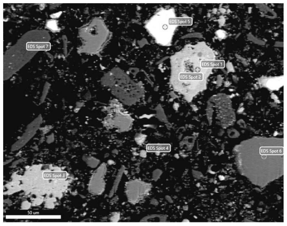 Method for converting niobium minerals in niobium rough concentrate into niobium ore and producing niobium concentrate