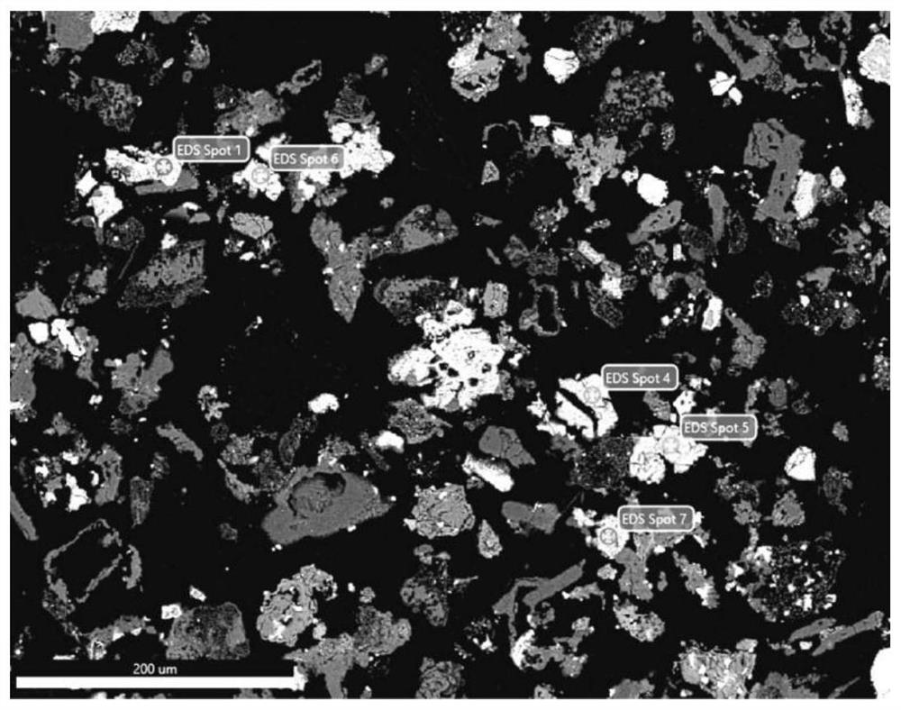 Method for converting niobium minerals in niobium rough concentrate into niobium ore and producing niobium concentrate