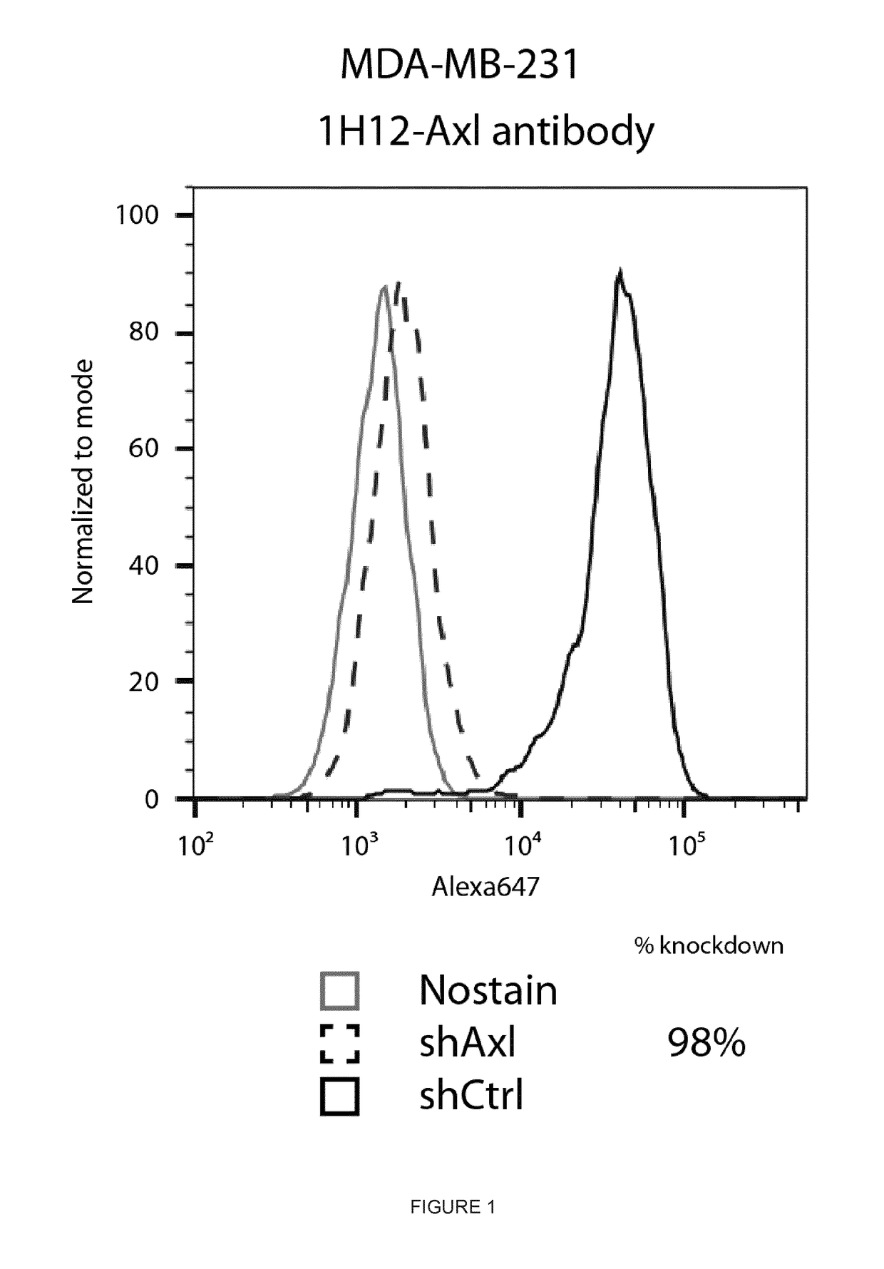 Anti-axl antibodies