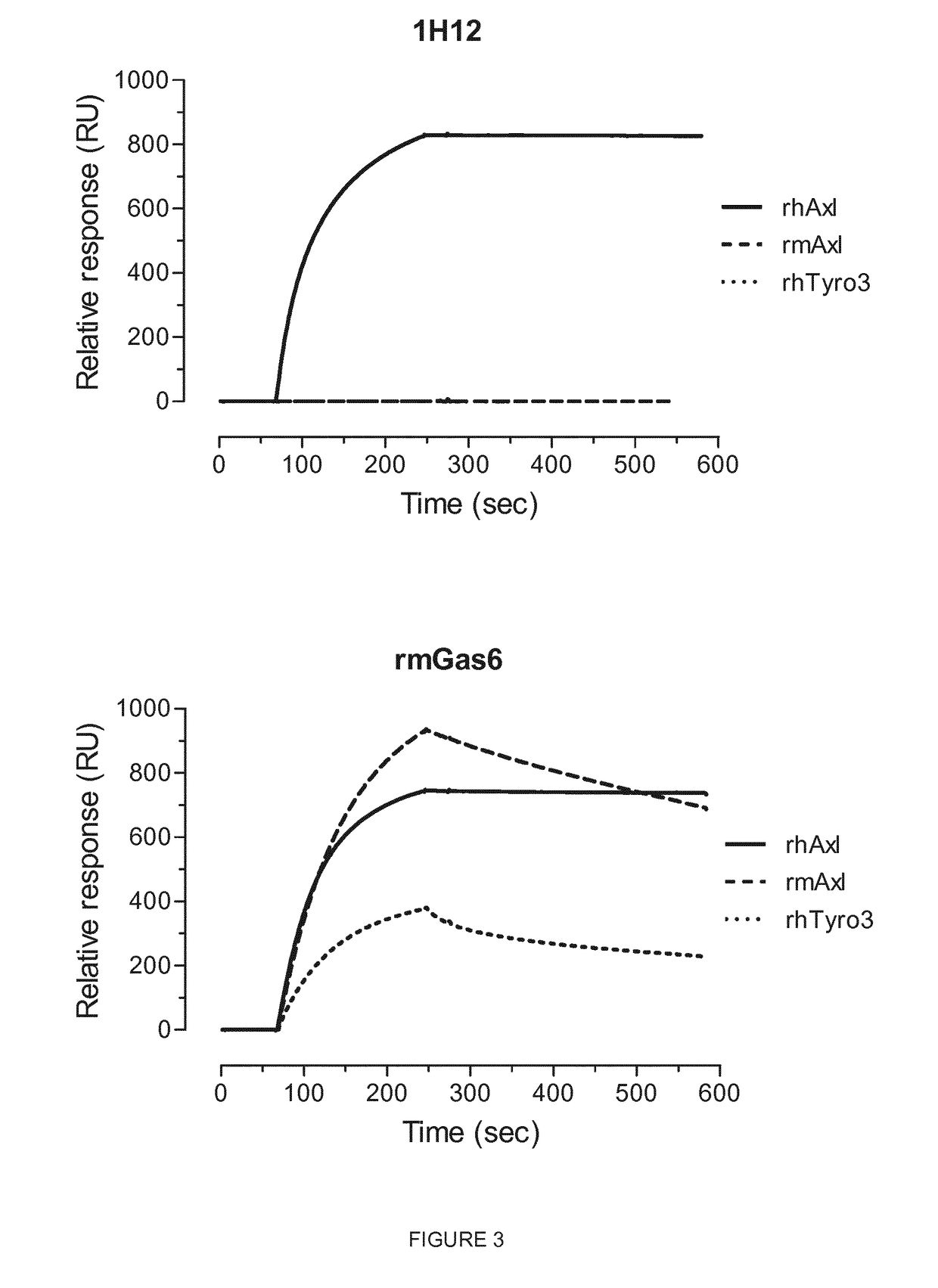 Anti-axl antibodies