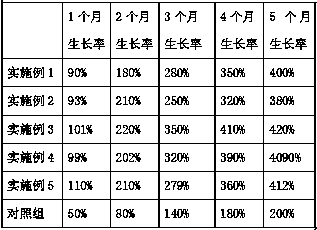 Saury feed and preparation method thereof