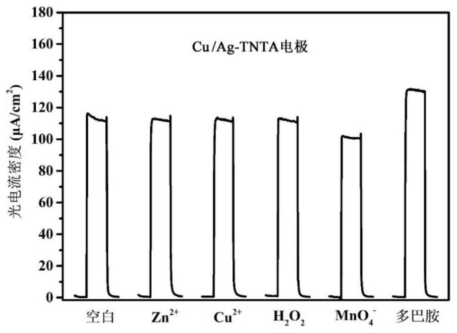 A preparation method of titanium oxide nanotube array-based photoelectrochemical detection electrode