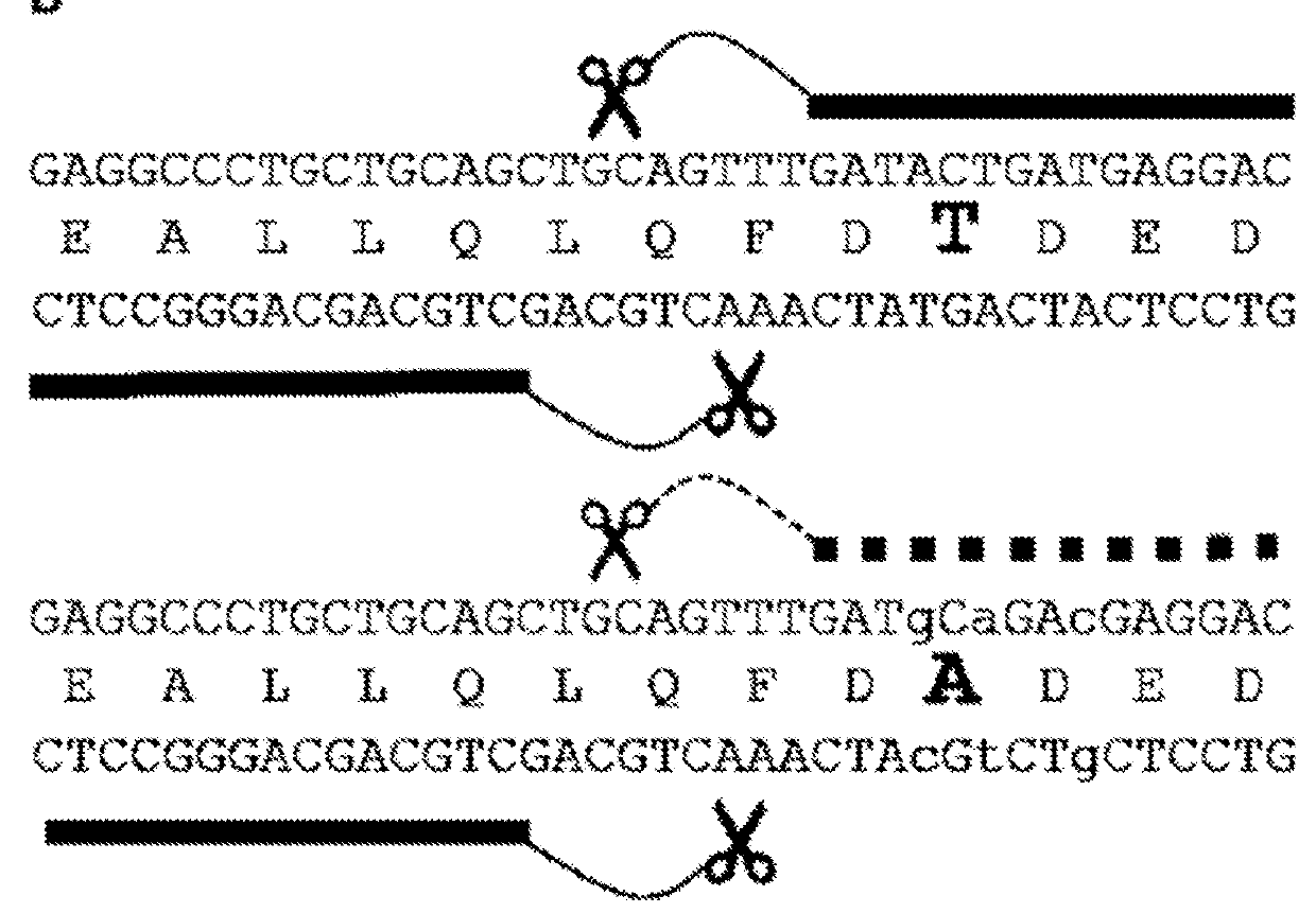 Genetically-Edited Swine