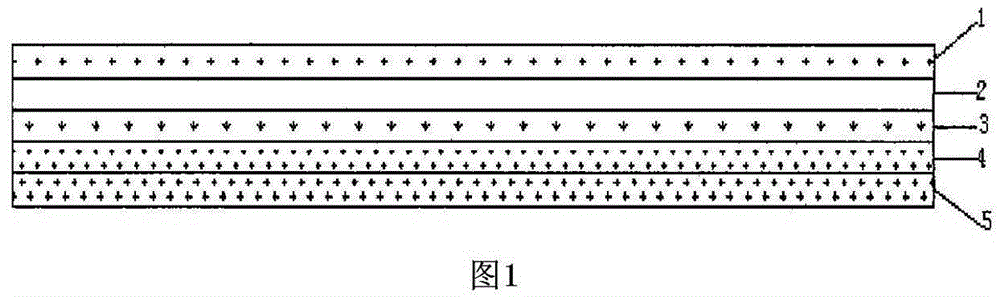 Neutron irradiation protective clothing material and preparation method for same