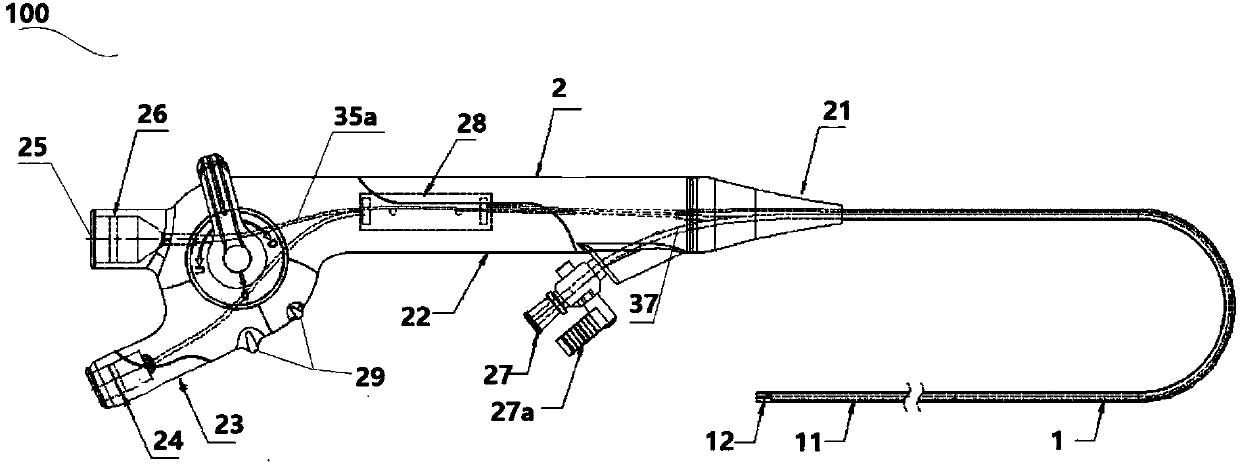 Large-channel and direct-inserting endoscope