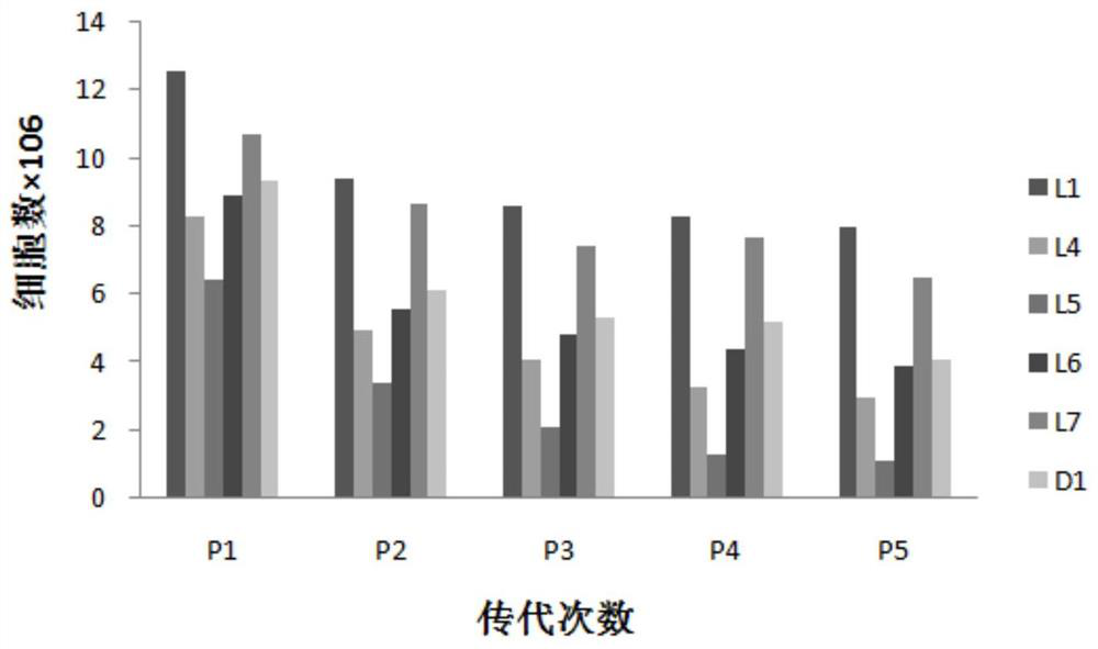 Culture method and serum-free medium for promoting proliferation and differentiation of mesenchymal stem cells