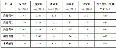 A kind of safe and environmentally friendly cultivation method of king oyster mushroom