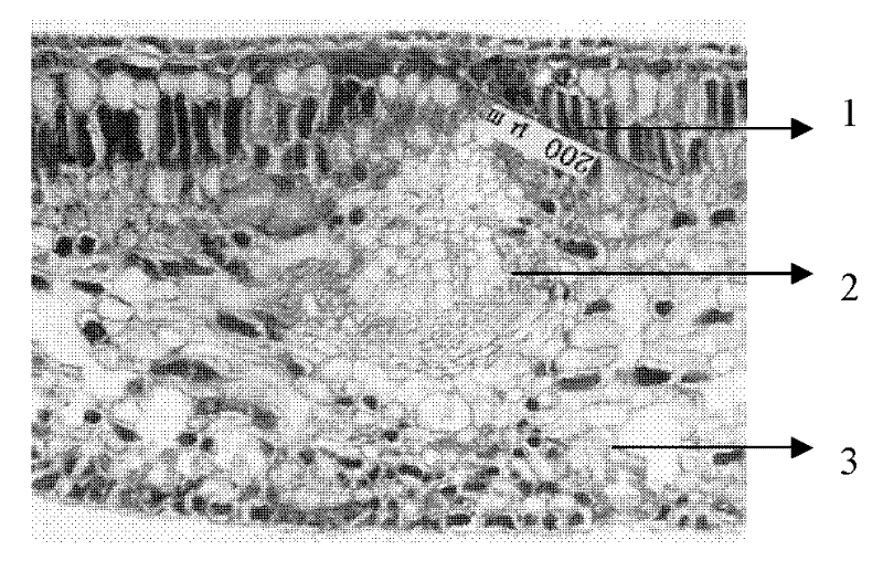 Method for slicing heavy leather blade paraffin