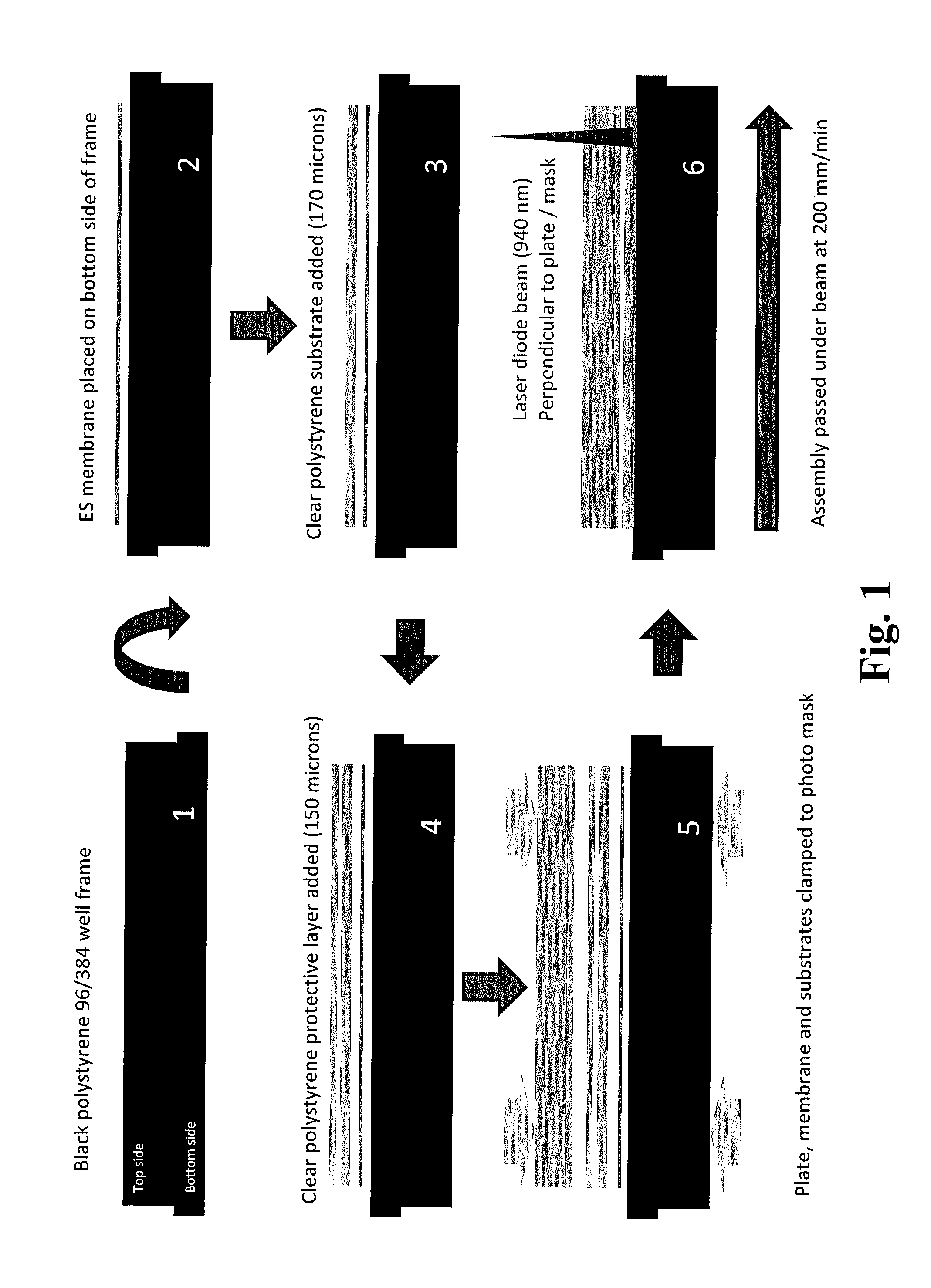 Multi-well plate