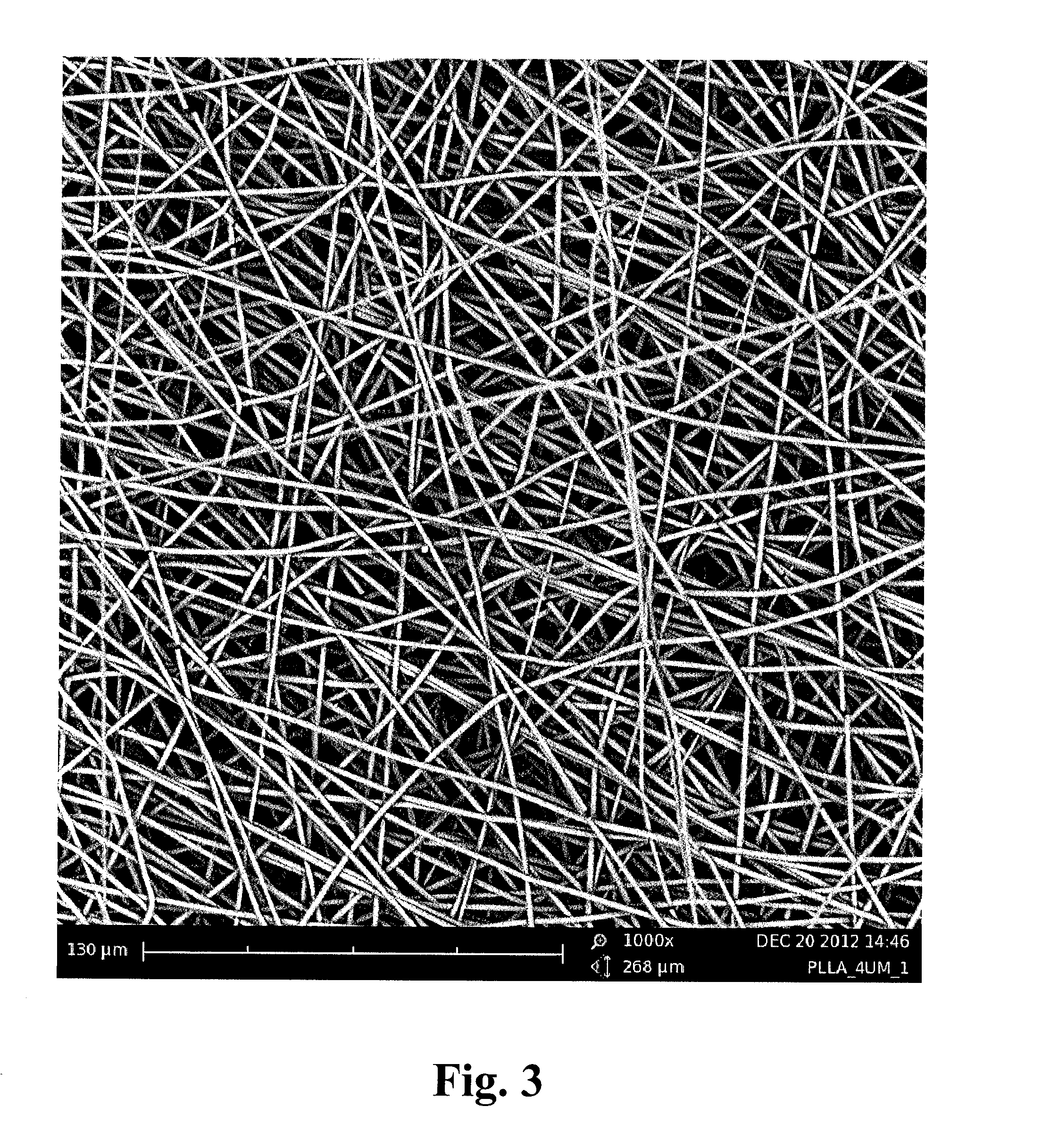 Multi-well plate