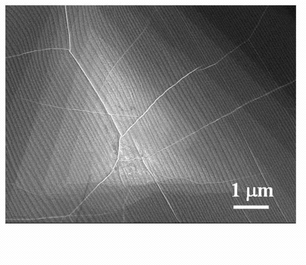 Preparation method of hexagonal phase boron nitride film