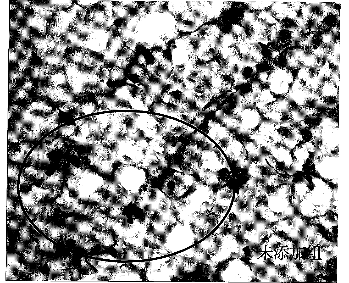 Aquatic product feed additive composition, preparation method and application thereof