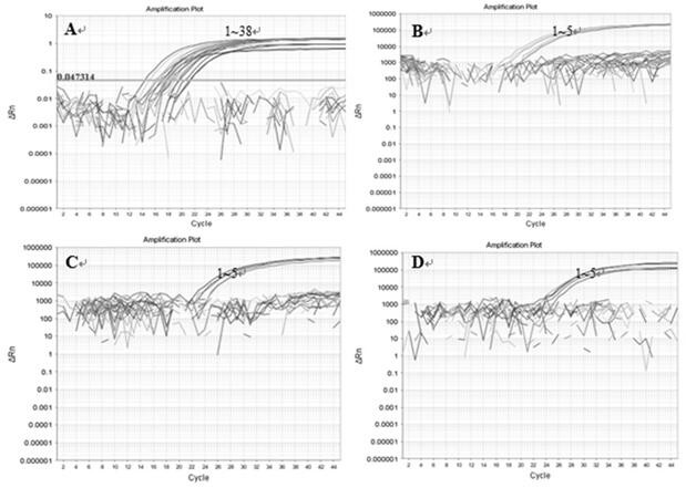 Primer probe combination and kit for detecting aflatoxin-producing fungi in food