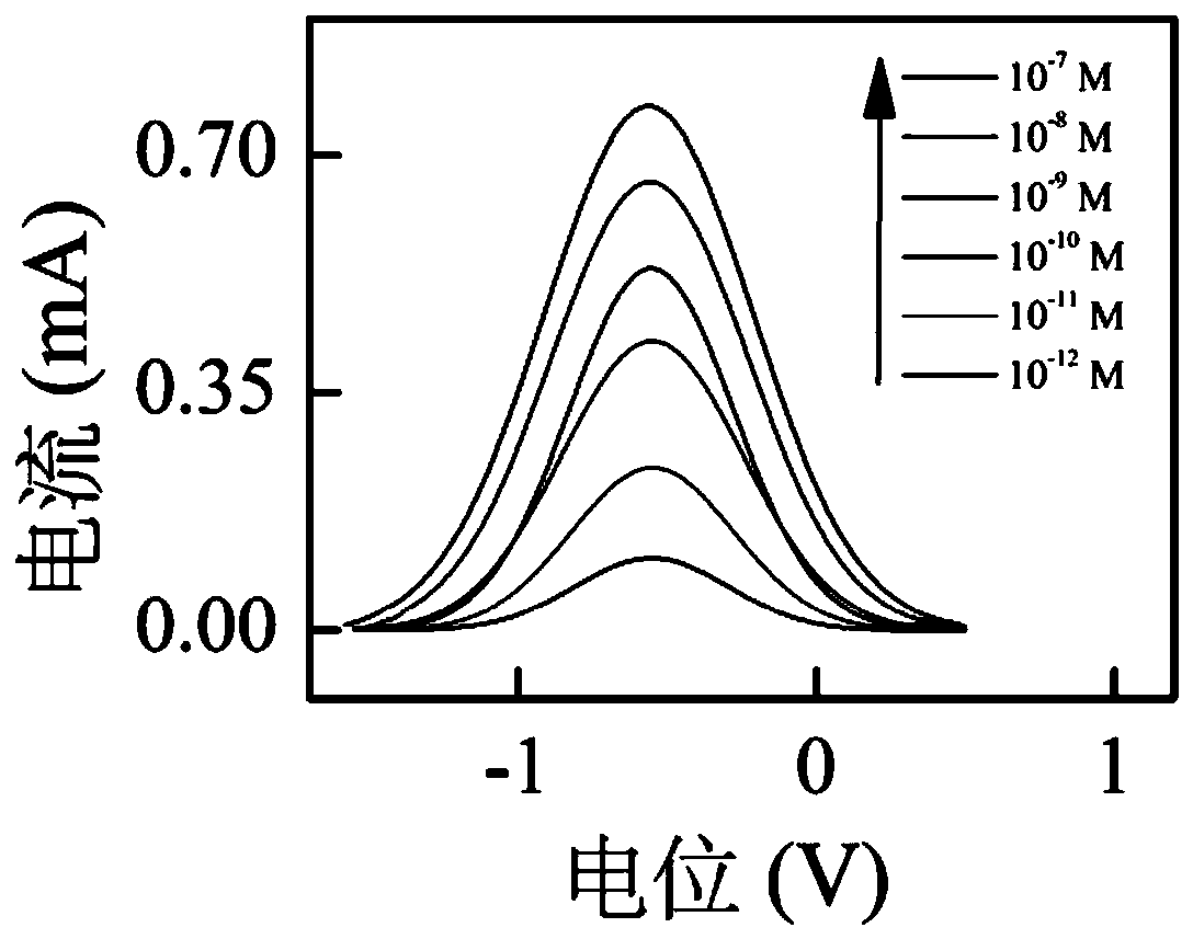 Preparation method of electrochemical sensor for detecting lead ions based on rapid scanning cyclic voltammetry technology and application thereof