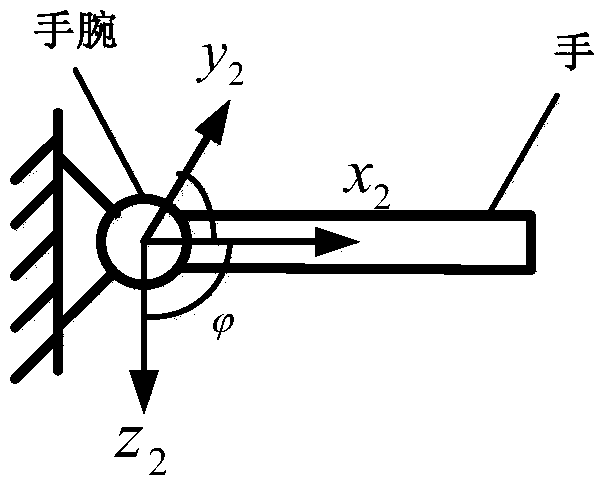 Myoelectric estimation method for motion moment of wrist joint