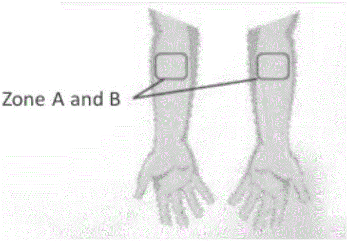 Combination capable of preventing hazy weather from injuring skins and application of combination