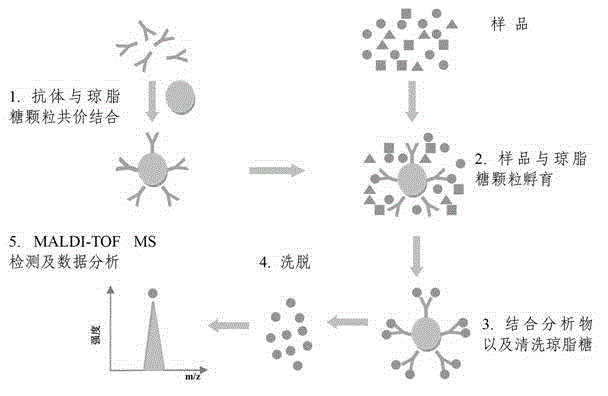 A preparation method of esophageal cancer immunomass spectrometry detection kit