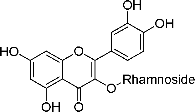 Pharmaceutical composition containing quercetin and usage thereof