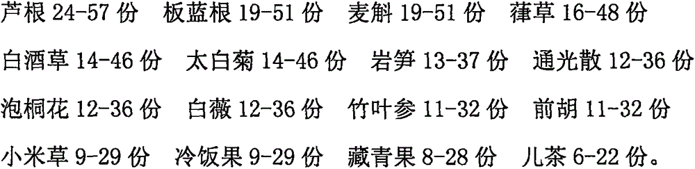 Medicine for treating chronic pneumonia and preparation method