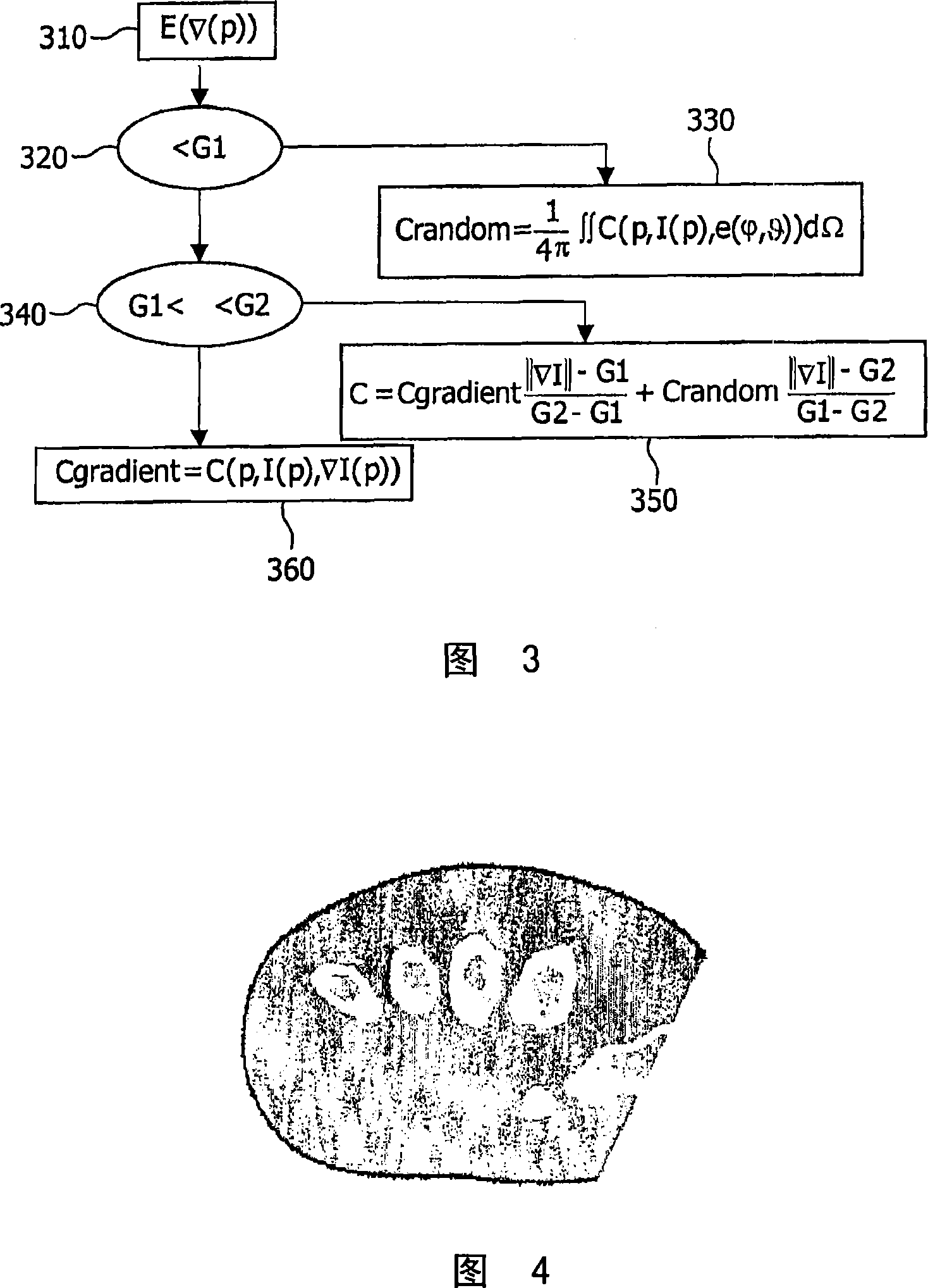 Direct volume rendering with shading