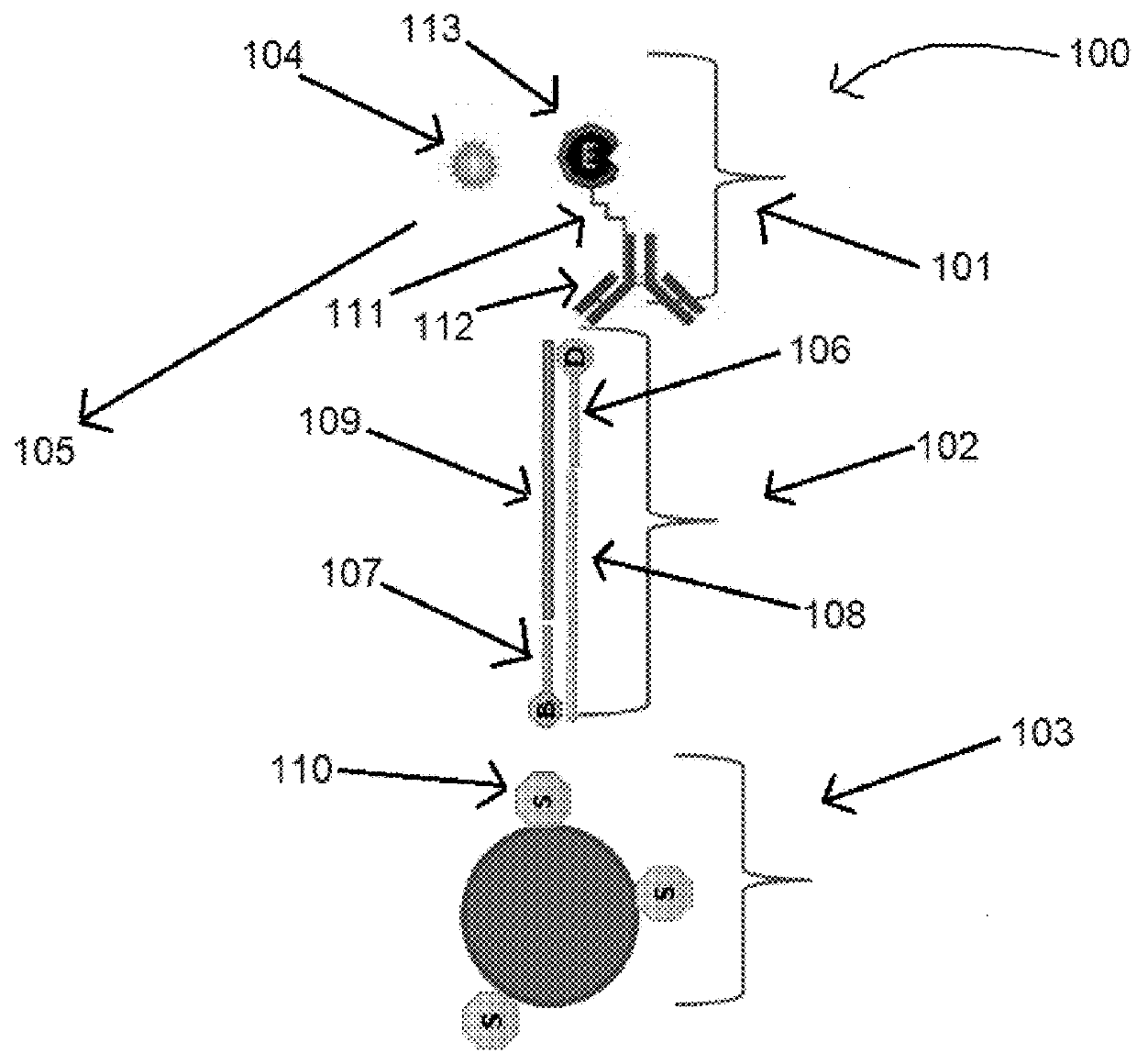 Rapid PCR method for detection of pathogenic microorganisms