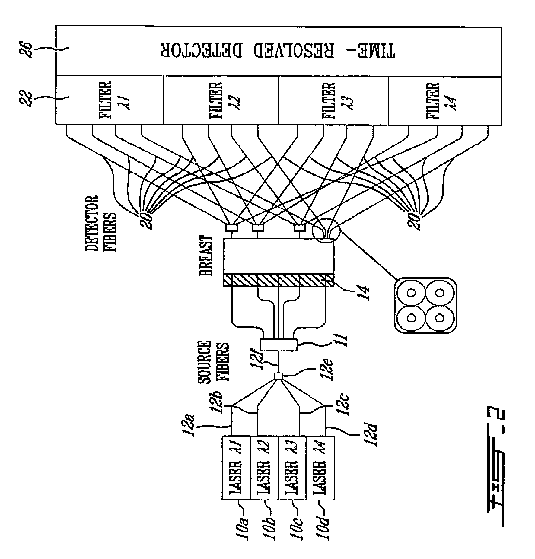 Simultaneous multiwavelength TPSF-based optical imaging