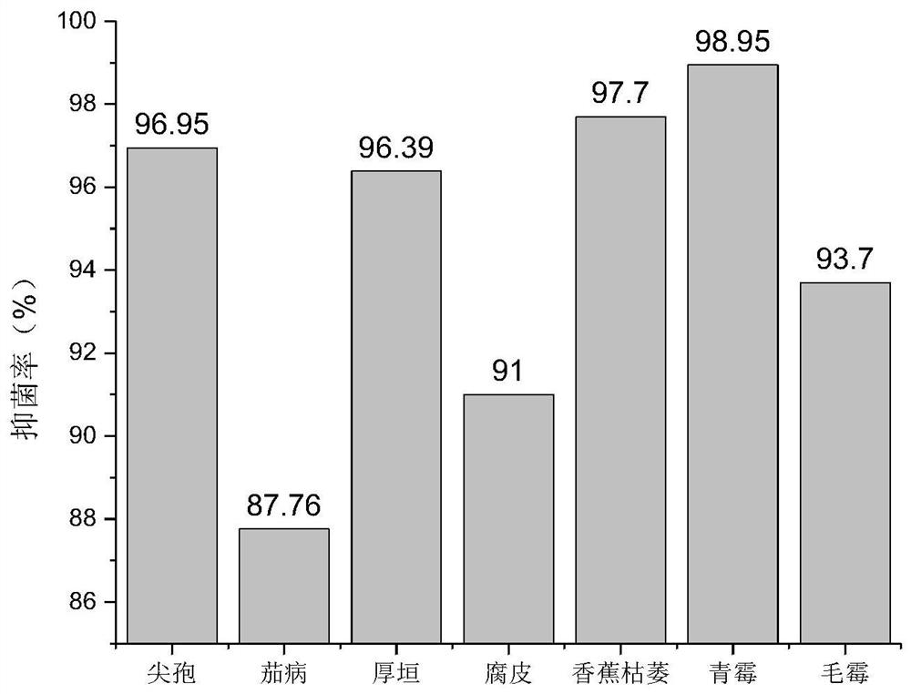 A saline-alkali-tolerant Bacillus megaterium fjw1 and its application in the preparation of phytopathogenic bacteriostatic agents