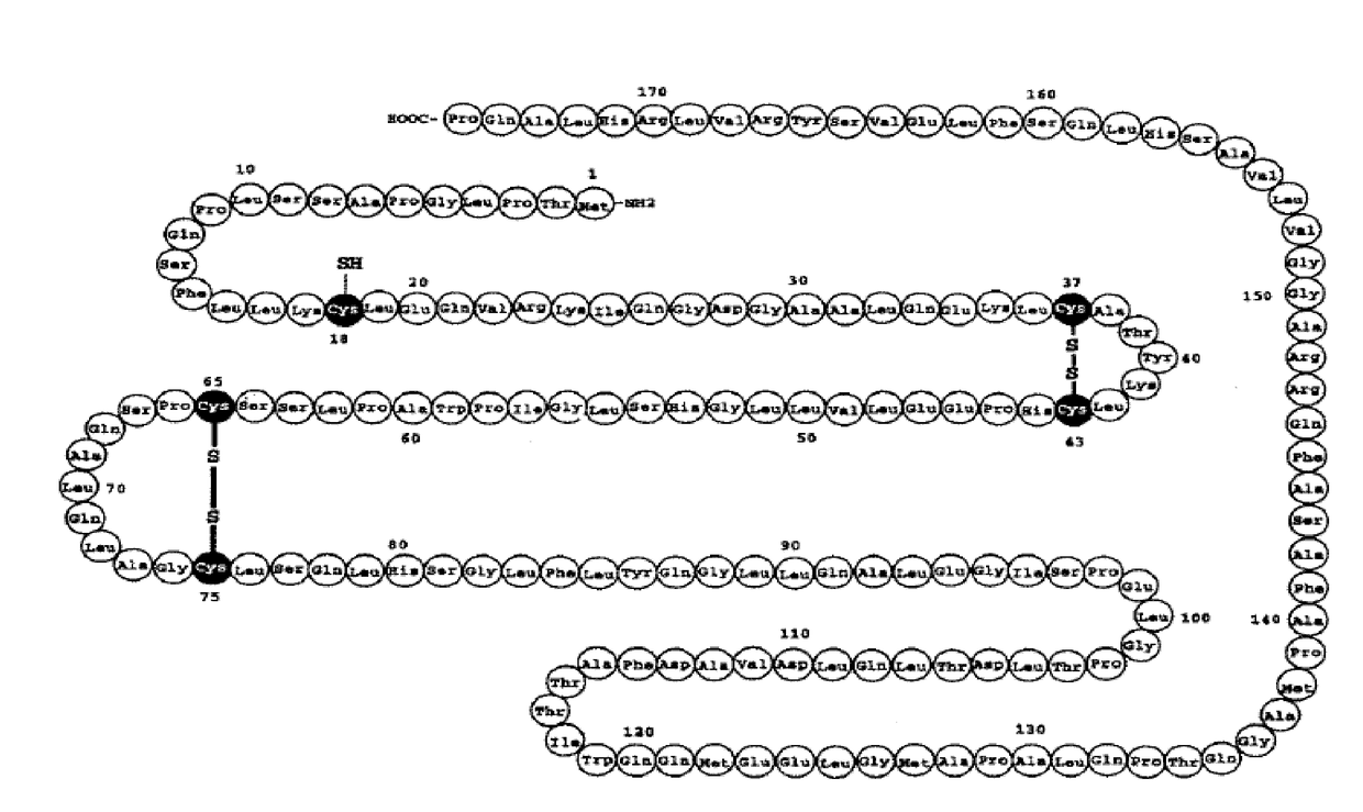 A process for preparing g-csf (granulocyte colony stimulating factor)