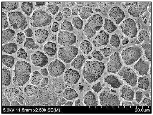 Separator, having improved electrode adhesion and resistance property, for lithium secondary battery, and lithium secondary battery comprising same separator