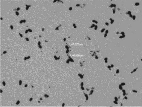 Bacillus aryabhattai and application thereof in hay modulation