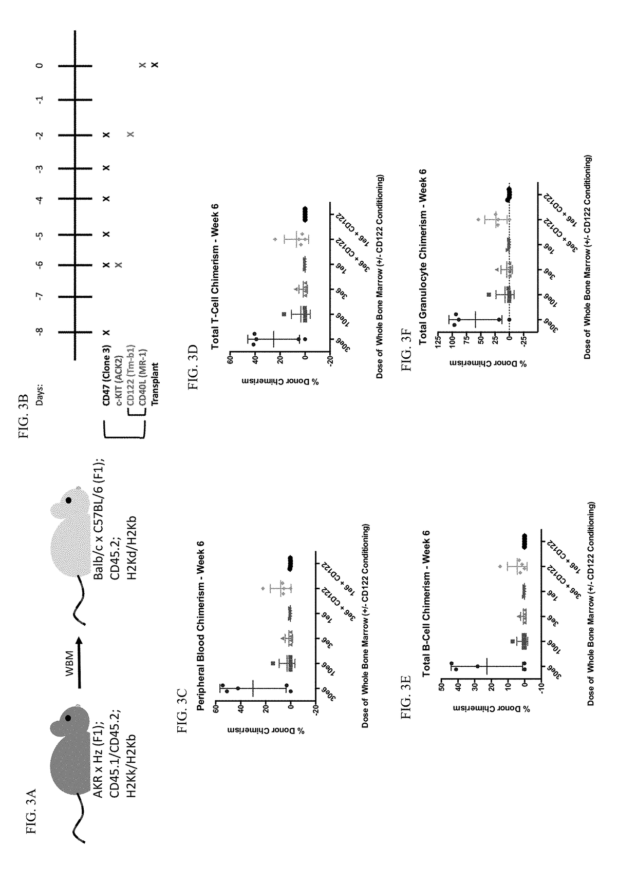 Non-genotoxic conditioning regimen for stem cell transplantation