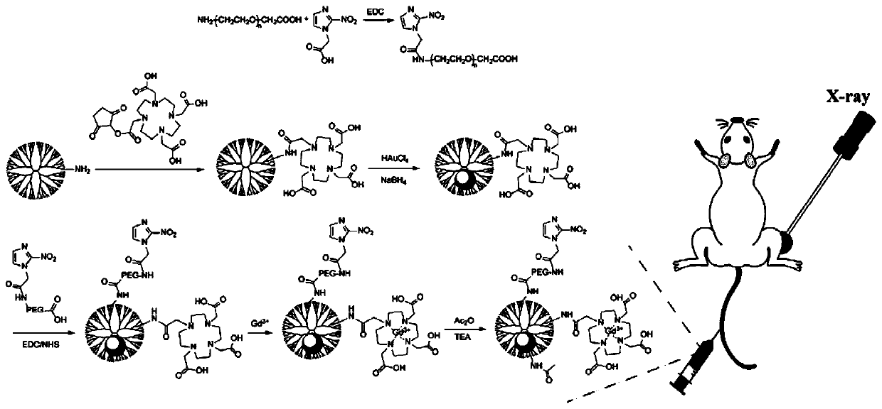 Preparation method of radiotherapy sensitization type hypoxia bimodal contrast agent based on dendritic macromolecules