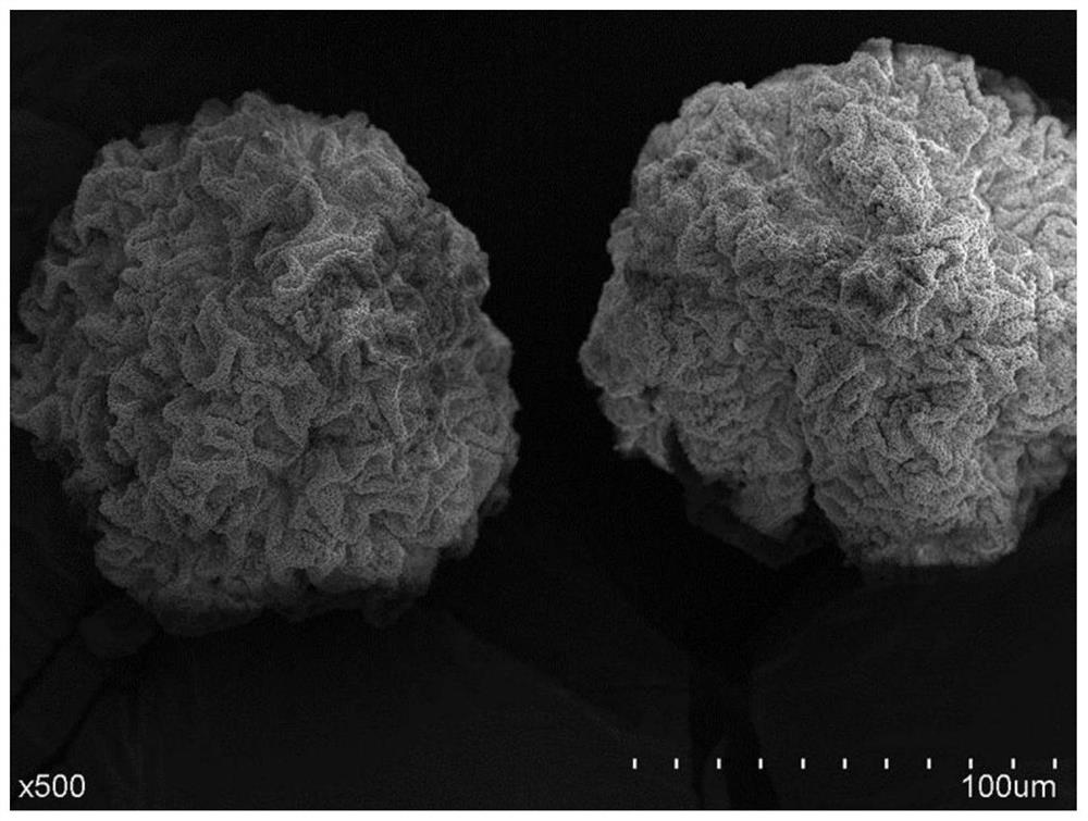 Preparation method of amphiphilic affinity polymer microspheres with core-shell structure