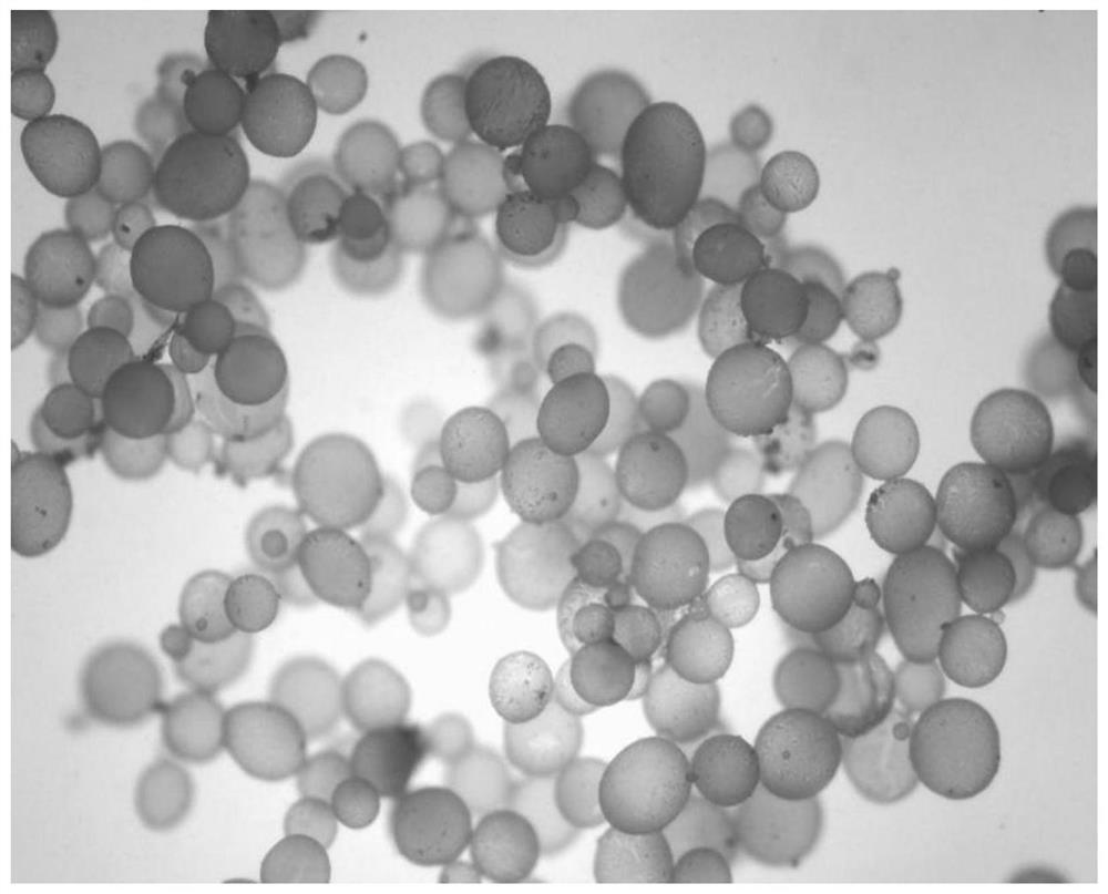 Preparation method of amphiphilic affinity polymer microspheres with core-shell structure