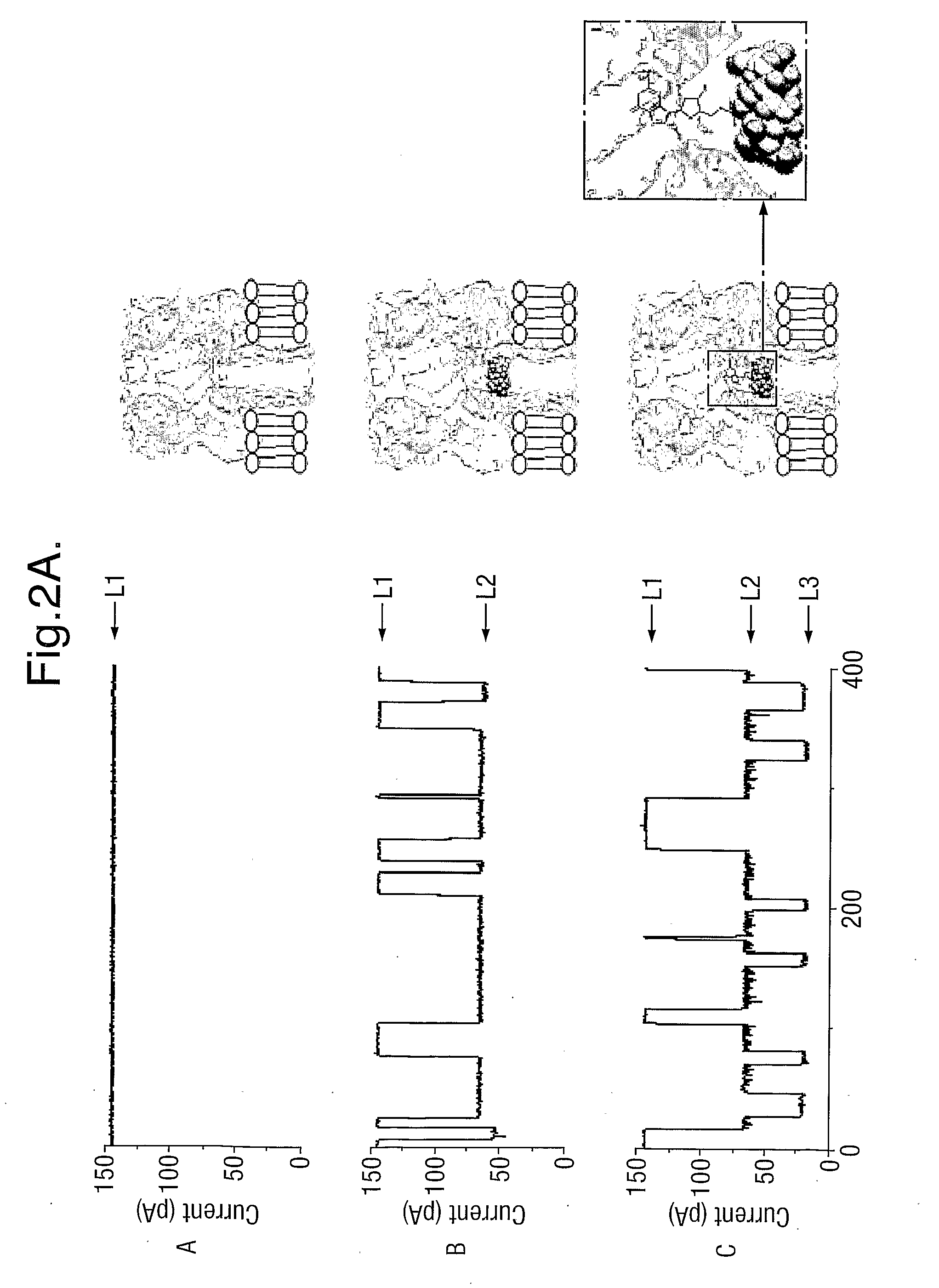 Methods Using Pores