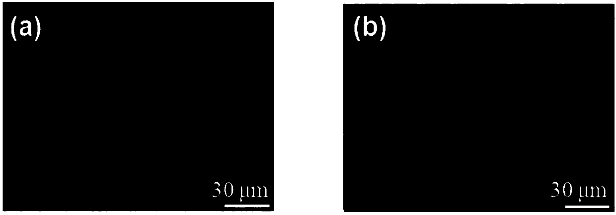 All-carbon memristor and preparation method thereof