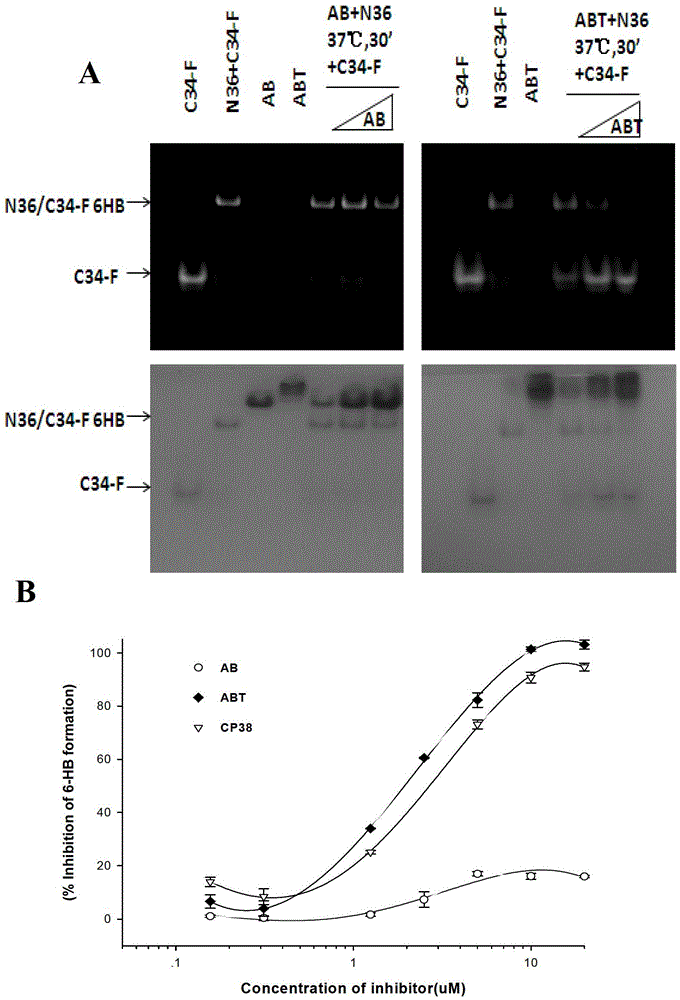 Long-acting HIV-1 (Human Immunodeficiency Virus-1) membrane fusion inhibitor