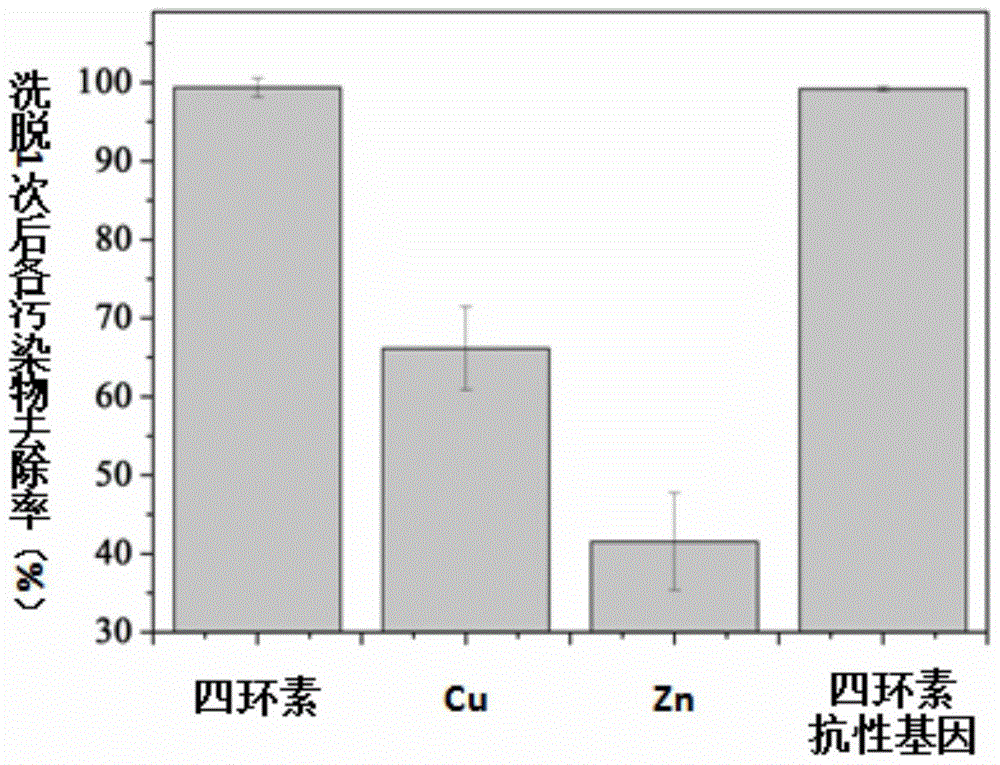 Synergistic elution remediation method for soil contaminated by high-abundance resistance genes combined with tetracycline and heavy metals