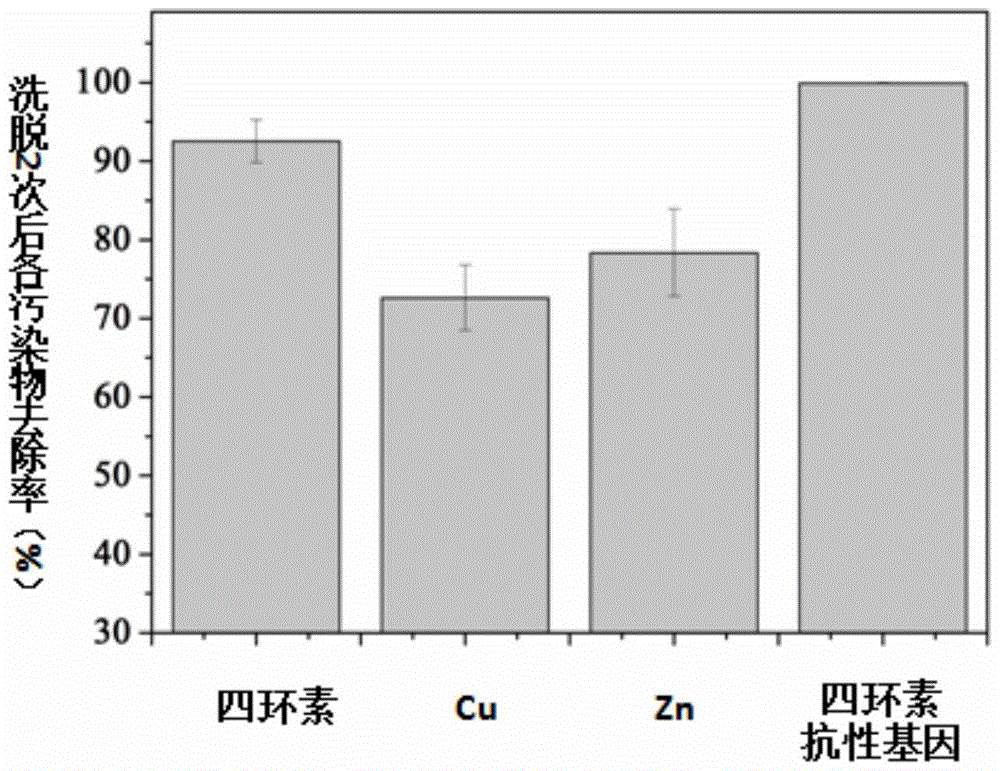 Synergistic elution remediation method for soil contaminated by high-abundance resistance genes combined with tetracycline and heavy metals