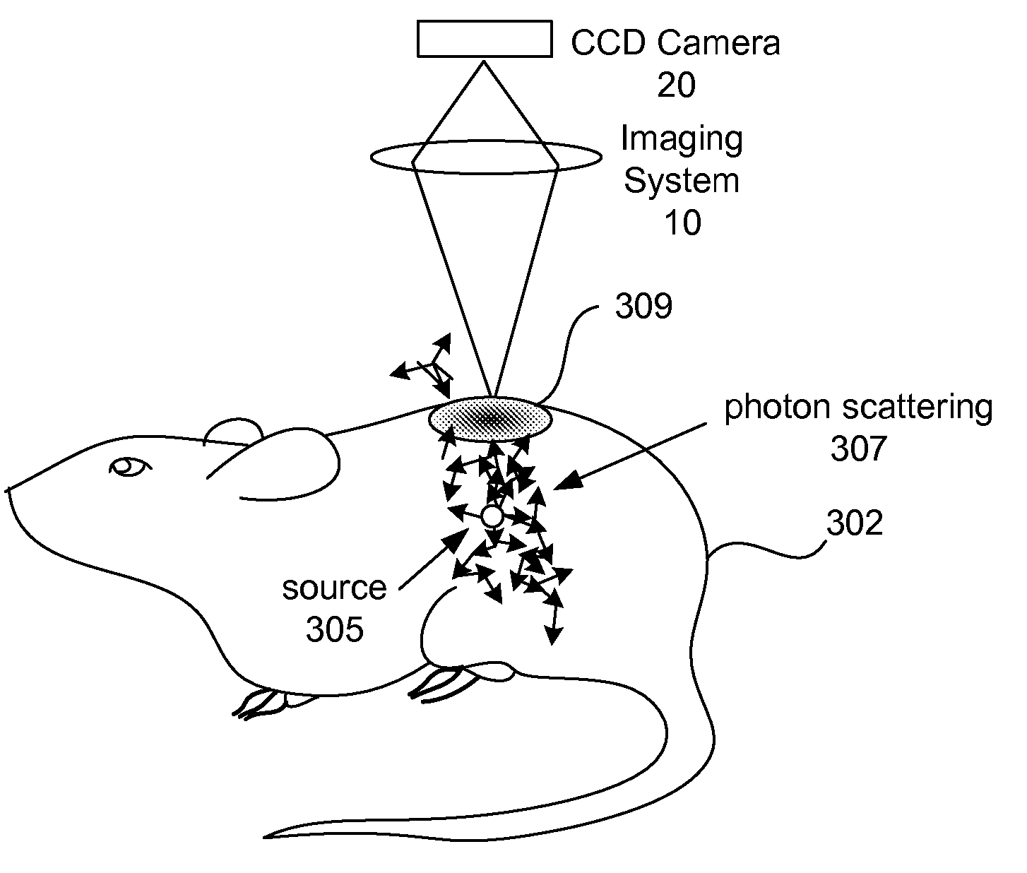 Method and apparatus for 3-d imaging of internal light sources