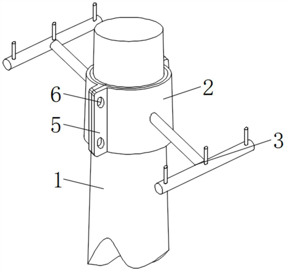 Coiled optical fiber supporting frame